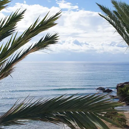 Calypso San Juan de los Terreros